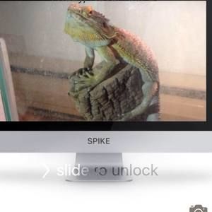 Meet your Posher, Kevin